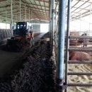 정수한우 이미지