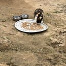 길냥이와 함께하는 이미지