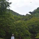 담양오방길5코스(누정길) 이미지