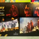 허니투어(HONEY TOUR) 이미지