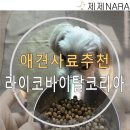 라이코 바이탈 코리아 이미지