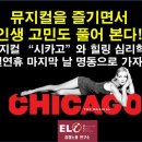 명동 파티·파티 이미지