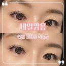 네일은피부맑음 | 인천 도화동 속눈썹 :: 네일맑음