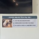 차가면옥 | 제주시 서쪽 메밀면 맛집 <저지면옥> 내돈내산 후기