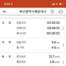 대성농원 - 영양군 지역골1길 4-2 | 대성농원