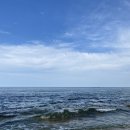 멍얀트리 이미지