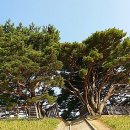 법기마을쉼터 이미지