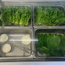 미트파티뷔페 | 전남 나주 무한리필 고깃집/남평 맛집 추천 [미트파티 고기뷔페]