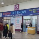 드림스넥