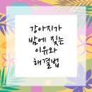 안녕동물병원 이미지