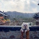 여의대로2길 이미지