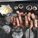 바다다음79 이미지