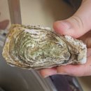 상동농협 하나로마트 이미지