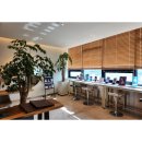 자주고름 이미지