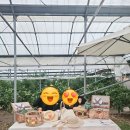 세광농장 이미지