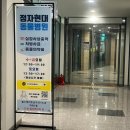 정자현대동물병원 | 강아지 심장사상충 진드기약 프론트라인 애드버킷 저렴한 성지 구매 | 판교 정자현대동물병원