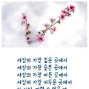 석순과 종유석 이미지