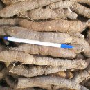 세근농장 이미지