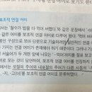 보조용언구성과 종속적 연결 어미 질문 이미지