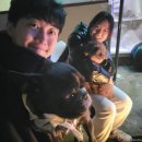 캠프위드펫&애견글램핑 이미지