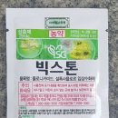 빅스톤