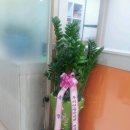 위풍당당한의원 이미지