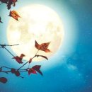 🌺추석명절/가정기도문 이미지