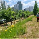 내곡동273 이미지