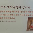 포샵디포토