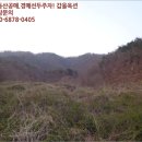 대구지방법원 영덕지원 이미지