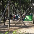 방아머리공원(솔밭) 이미지