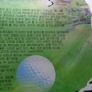 (주)홀리데이투어 네이버블로그