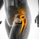 PT의 품격 이미지