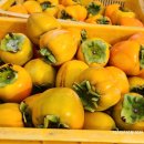 반시홍시 이미지