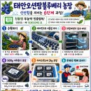 오션팜
