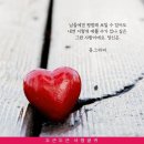 동그라미 이미지