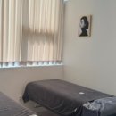 살롱 드 비숑 이미지