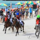 제주의 제주마 이미지