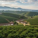 여정농장 이미지