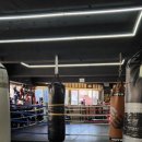 오비복싱 이미지