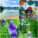 중앙교회 앞(대공원길) | 걷기 일상 - 서울대공원 1부 호수둘레길 꽃구경(여름정원)
