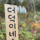 더덕이네 | 평창 프라이빗하게 별 볼수 있는 독채 펜션 : 더덕이네 후기!