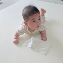 하우스140 | [112일] 아기 뒤집기 준비물, 크림하우스 프리2 매트 내돈내산 후기