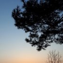 축령산휴림 이미지