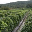 연구농장 이미지