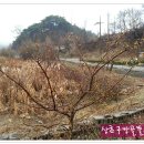 농부의뜰