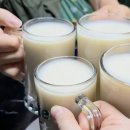 충남 예산시장 여행기념품 [백술상회]::골목막걸리 예산사과 프리미엄 생 막걸리 후기!