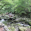 항골계곡 이미지