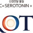 세로톤의료기 이미지
