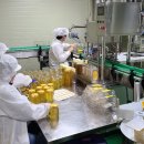 시골 농장 이미지